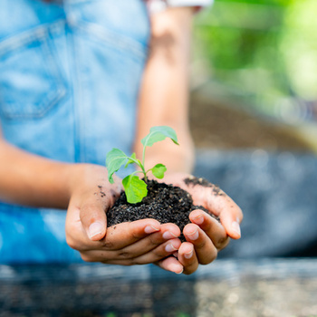 Агротехнологические классы в общеобразовательных организациях - fgospostavki.ru - Кубинка