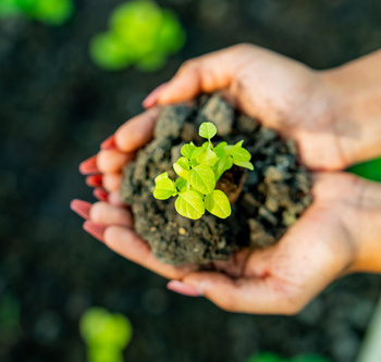 Инженерные биологические системы: междисциплинарное образование в школах - fgospostavki.ru - Кубинка