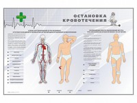 Электрифицированный стенд "Остановка кровотечения" - fgospostavki.ru - Кубинка