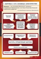 Комплект таблиц. ОБЖ. Здоровый образ жизни. - fgospostavki.ru - Кубинка