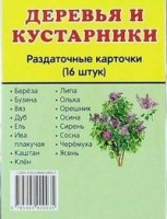 Раздаточные карточки "Деревья и кустарники" - fgospostavki.ru - Кубинка