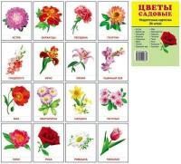 Раздаточные карточки "Цветы садовые" - fgospostavki.ru - Кубинка
