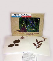 Гербарий "Дикорастущие растения" (28 видов) - fgospostavki.ru - Кубинка