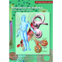 Интерактивные плакаты. Биология человека. Программно-методический комплекс - fgospostavki.ru - Кубинка