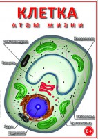 DVD "Клетка - "атом жизни" - fgospostavki.ru - Кубинка