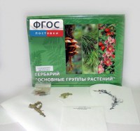 Гербарий "Основные группы растений" (52 листа) - fgospostavki.ru - Кубинка