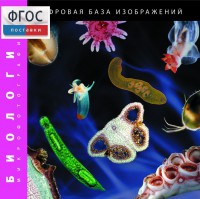 Биология. Микрофотографии. (Цифровая база изображений) - fgospostavki.ru - Кубинка