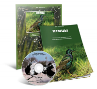 Электронное наглядное пособие «Птицы» - fgospostavki.ru - Кубинка