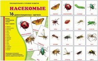 Демонстрационные карточки "Насекомые" - fgospostavki.ru - Кубинка