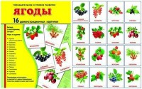 Демонстрационные карточки "Ягоды" - fgospostavki.ru - Кубинка