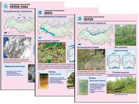 Комплект таблиц по географии "Природные зоны России" раздаточные (цветные, ламинированные, А4, 10 штук) - fgospostavki.ru - Кубинка