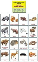 Раздаточные карточки "Дикие животные (1)" - fgospostavki.ru - Кубинка