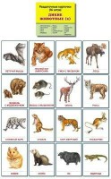 Раздаточные карточки "Дикие животные (2)" - fgospostavki.ru - Кубинка