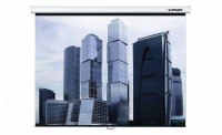 Настенный проекционный экран Lumien Eco Picture (LEP-100102) 180х180 см - fgospostavki.ru - Кубинка
