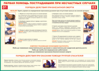Таблица "Порядок действий при внезапной смерти" (100х140 сантиметров, винил) - fgospostavki.ru - Кубинка