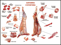 Таблица "Правила разделки мясных туш. Баранина и ягнятина" (100х140 сантиметров, винил) - fgospostavki.ru - Кубинка