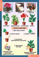 Комплект таблиц. Окружающий мир 1 класс. - fgospostavki.ru - Кубинка