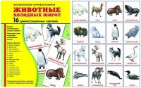 Демонстрационные карточки "Животные холодных широт" - fgospostavki.ru - Кубинка