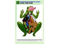 Рельефная таблица "Внутреннее строение лягушки" (формат А1, матовое ламинирование) - fgospostavki.ru - Кубинка