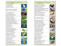 Комплект карточек (10) "Обучающий калейдоскоп. Природа" - fgospostavki.ru - Кубинка