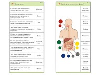 Комплект карточек (10) "Обучающий калейдоскоп. Человек" - fgospostavki.ru - Кубинка