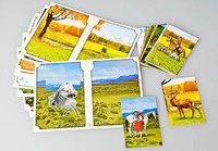 Настольно-печатная игра "Вокруг света" - fgospostavki.ru - Кубинка