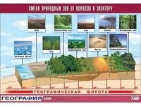 Таблица демонстрационная "Смена природных зон от полюсов к экватору" (винил 70*100) - fgospostavki.ru - Кубинка