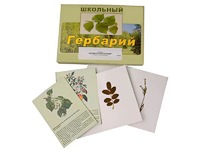 Гербарий "Деревья и кустарники" (22 вида, с иллюстрациями) - fgospostavki.ru - Кубинка