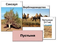 Модель-аппликация "Природные зоны России" (ламинированная) - fgospostavki.ru - Кубинка