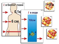 Модель-аппликация "Явление радиоактивности" (ламинированная) - fgospostavki.ru - Кубинка
