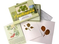 Гербарий "Систематика растений. Семейство Розоцветные" (раздаточный) - fgospostavki.ru - Кубинка