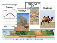 Модель-аппликация "Природные зоны" - fgospostavki.ru - Кубинка