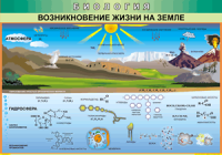 Таблица "Возникновение жизни на земле" (100х140 сантиметров, винил) - fgospostavki.ru - Кубинка