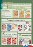 Комплект таблиц. Биология 8-9 класс. Человек. - fgospostavki.ru - Кубинка