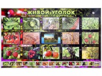 Комплект оборудования "Живой уголок" (растения) с тифлопереводом и сурдокомментариями - fgospostavki.ru - Кубинка