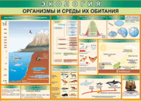 Таблица "Организмы и среды их обитания" (100х140 сантиметров, винил) - fgospostavki.ru - Кубинка