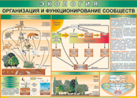 Таблица "Организация и функционирование сообществ" (100х140 сантиметров, винил) - fgospostavki.ru - Кубинка