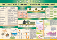 Таблица "Биотические взаимоотношения организмов" (100х140 сантиметров, винил) - fgospostavki.ru - Кубинка