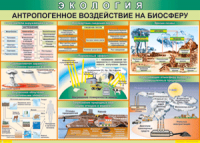 Таблица "Антропогенное воздействие на биосферу" (100х140 сантиметров, винил) - fgospostavki.ru - Кубинка