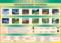 Таблица "Экология. Обобщающие таблицы" (100х140 сантиметров, винил) - fgospostavki.ru - Кубинка