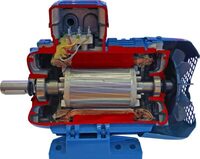 Учебная модель «Электродвигатель асинхронный в разрезе» - fgospostavki.ru - Кубинка