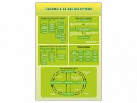 Стенды "Схемы по экономике" - fgospostavki.ru - Кубинка