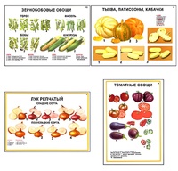 Плакаты ПРОФТЕХ "Ассортимент овощных культур" (12 пл, винил, 70х100) - fgospostavki.ru - Кубинка