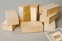 Игровой набор Фребеля "Кирпичики большие" (серия "Эксперимент") - fgospostavki.ru - Кубинка