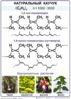 Комплект демонстрационных таблиц по химии "Полимеры" (комплект 12 таблиц) - fgospostavki.ru - Кубинка