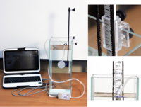 Набор демонстрационный «Гидростатика и плавание тел» - fgospostavki.ru - Кубинка