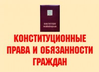 Комплект плакатов "Конституционные права и обязанности граждан" - fgospostavki.ru - Кубинка
