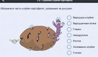Интерактивные курсы. Биология 6 класс. Расширенный - fgospostavki.ru - Кубинка