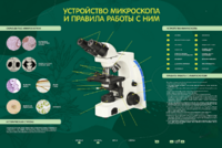 Электрифицированный стенд "Устройство микроскопа и правила работы c ним" - fgospostavki.ru - Кубинка