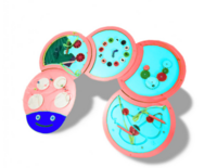 Тактильно-развивающая панель «Гусеница» - fgospostavki.ru - Кубинка